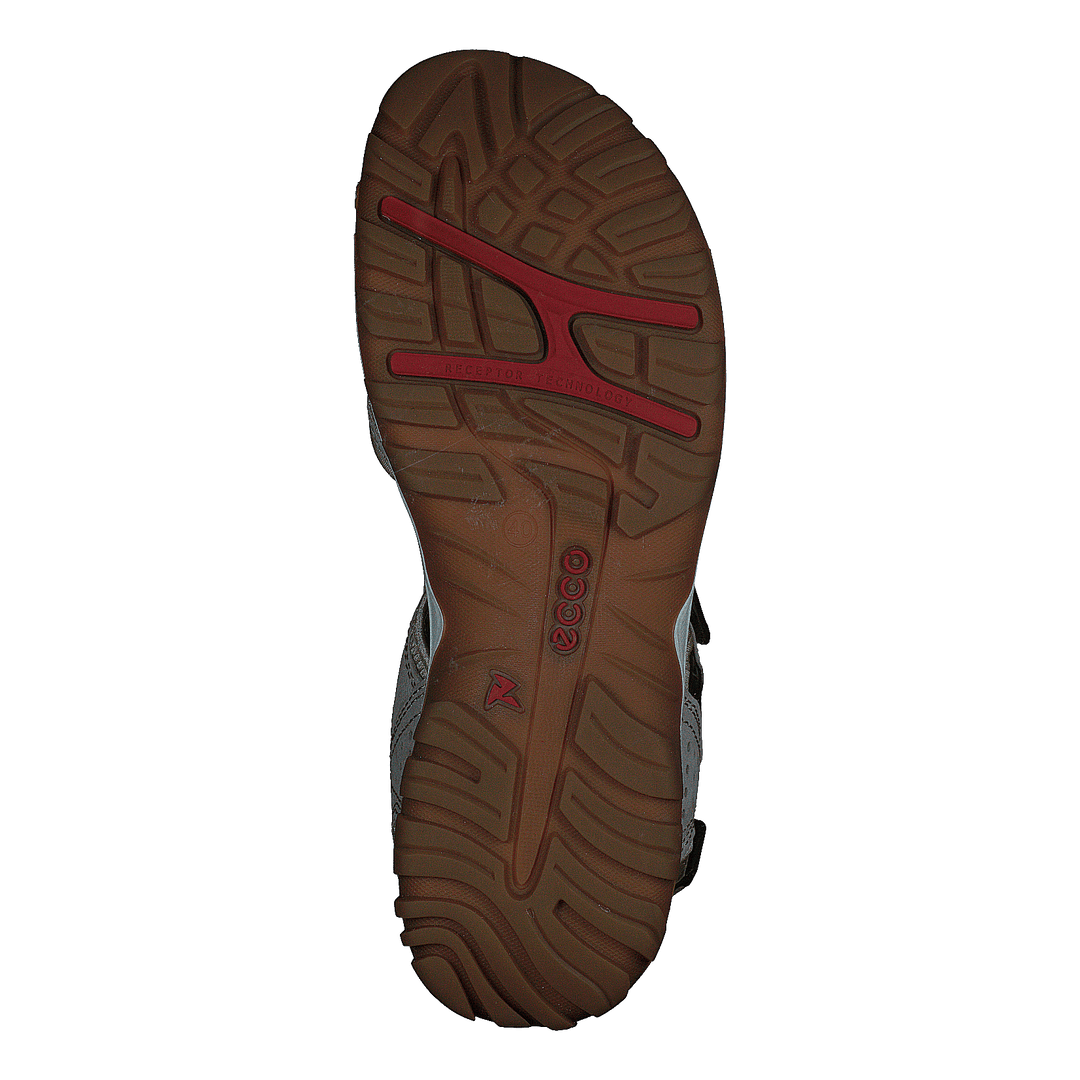 Ecco Offroad Lite W Moon Rock