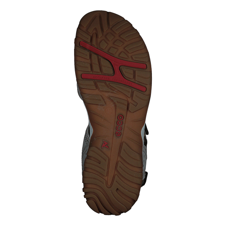 Ecco Offroad Lite W Moon Rock