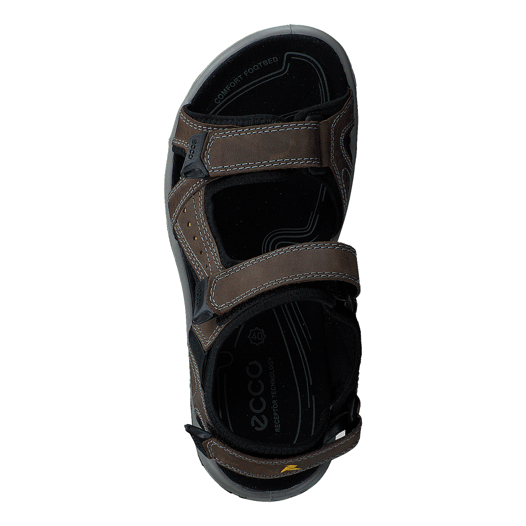 Ecco Offroad Lite M Dark Clay