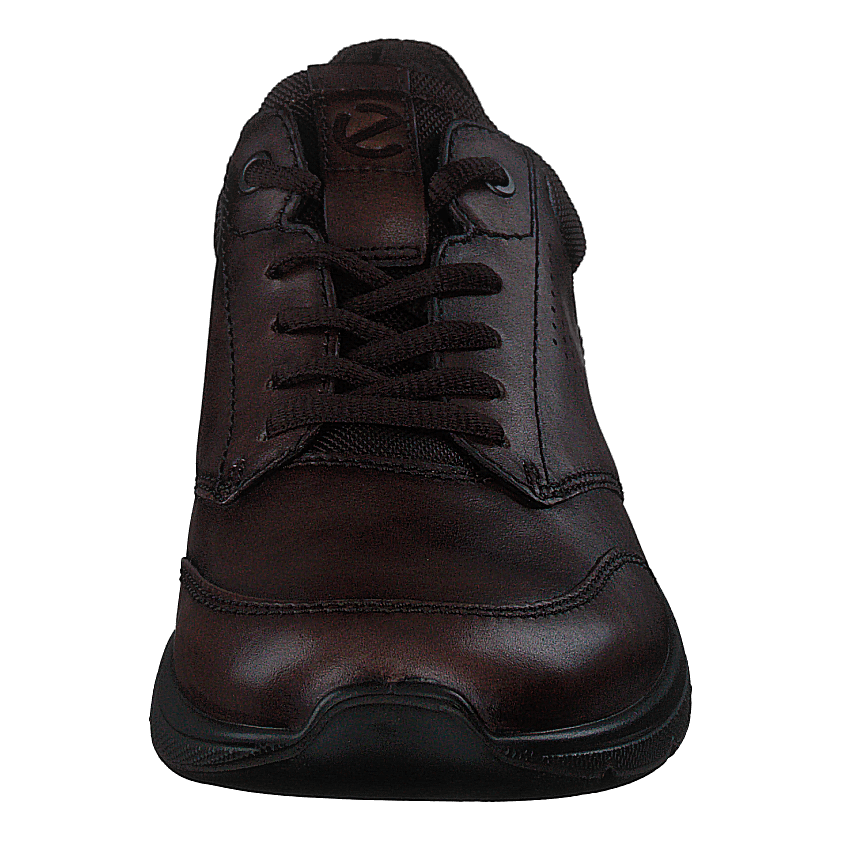 Ecco Irving Cocoa Brown/coffee
