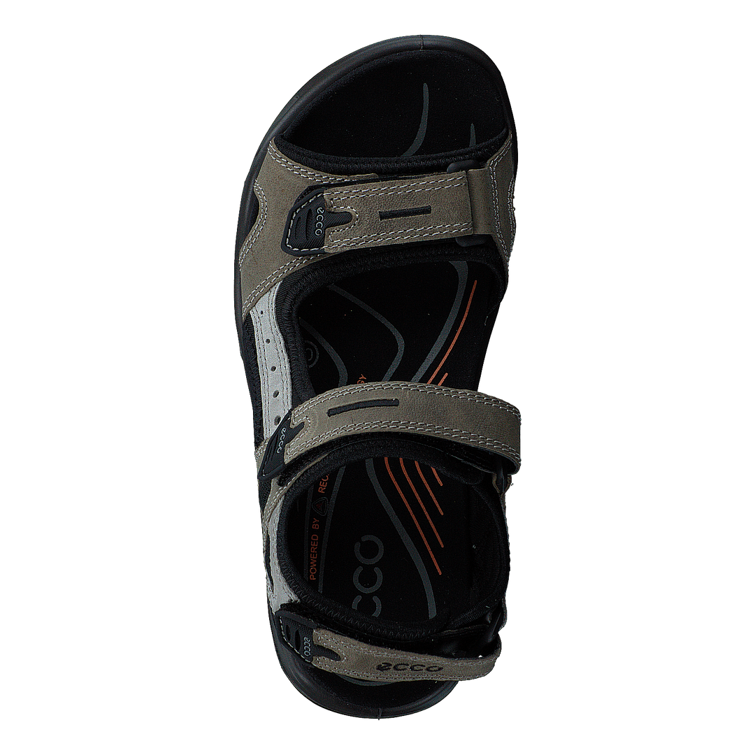 Ecco Offroad Vetiver/wild Dove
