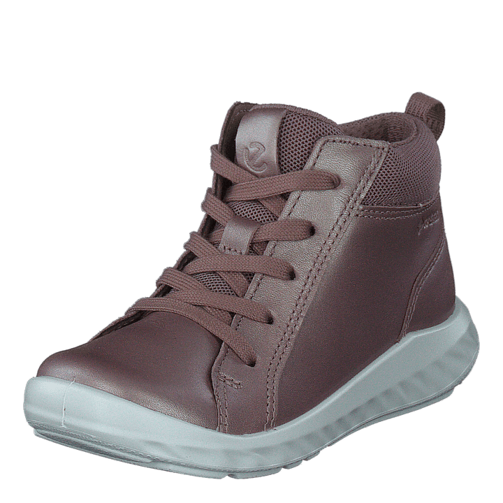 Sp1 Lite Infant Woodrosemetall Woodrose Metallic/woodrose