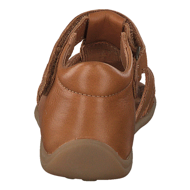 Bisgaard Carly Brandy
