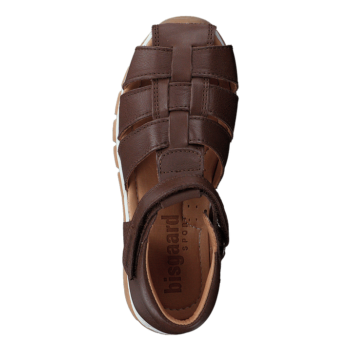 Bisgaard Billie Brown