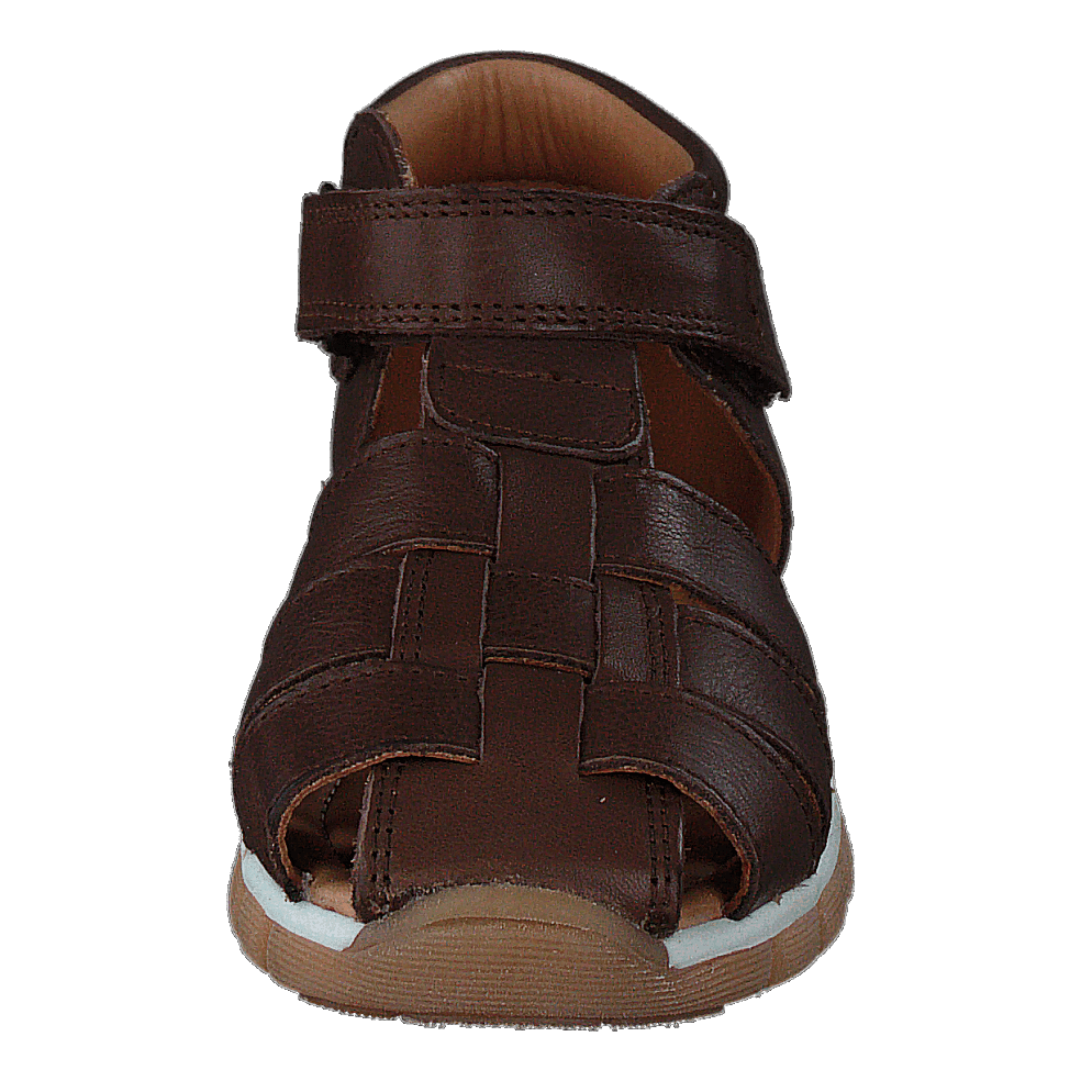 Bisgaard Billie Brown