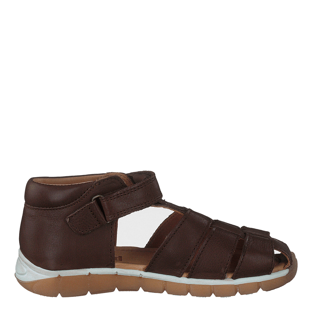 Bisgaard Billie Brown