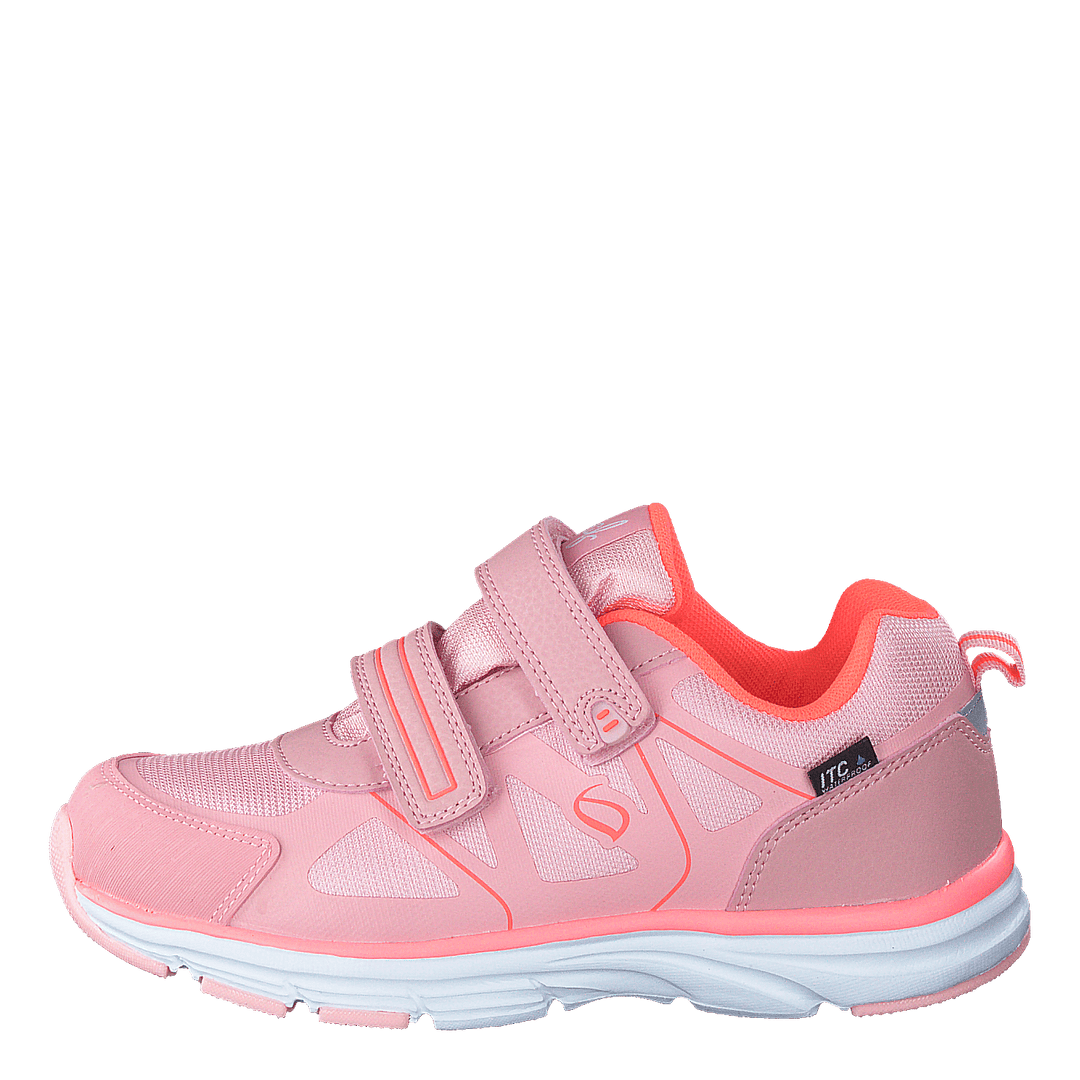 Hamar Coral - Heppo.com