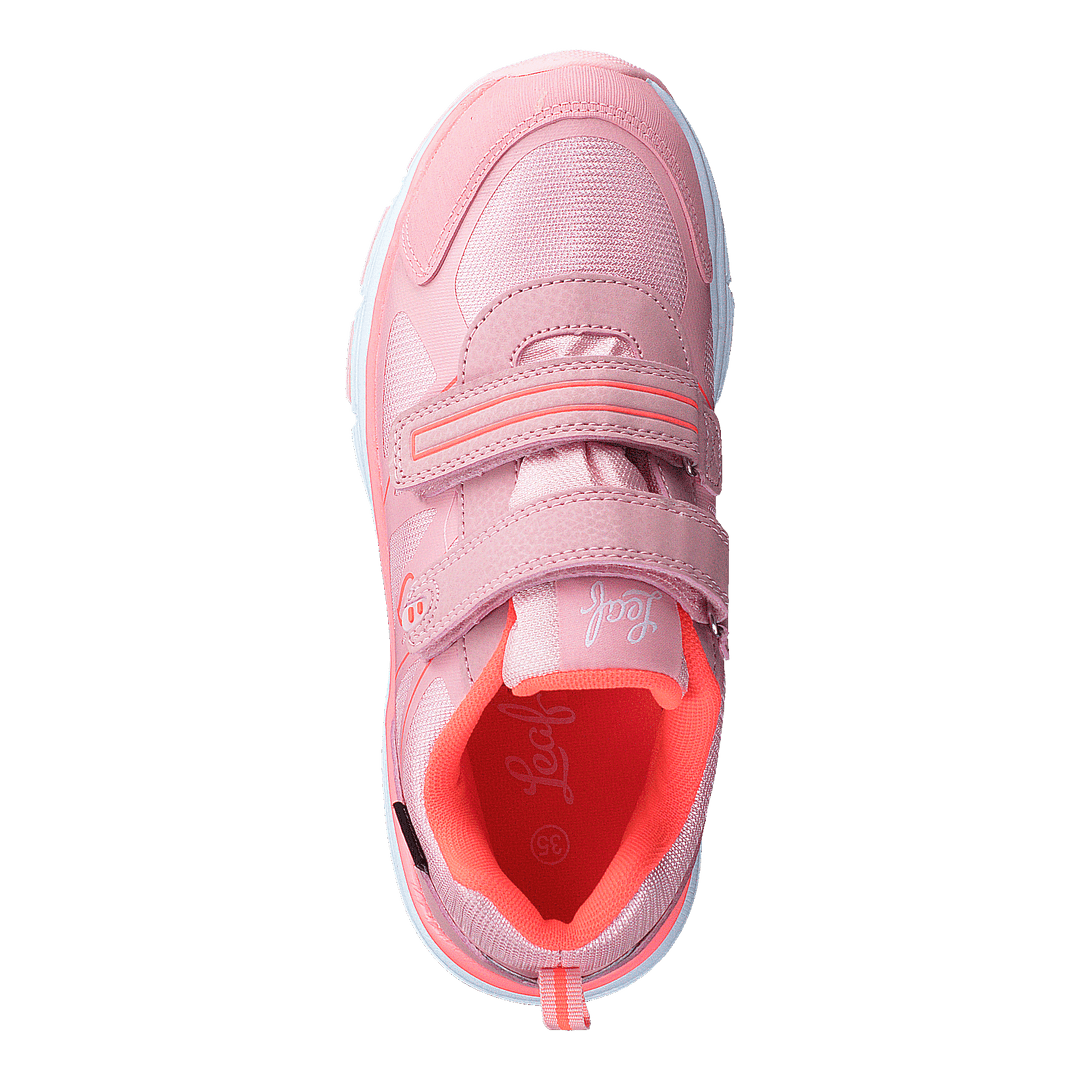 Hamar Coral - Heppo.com