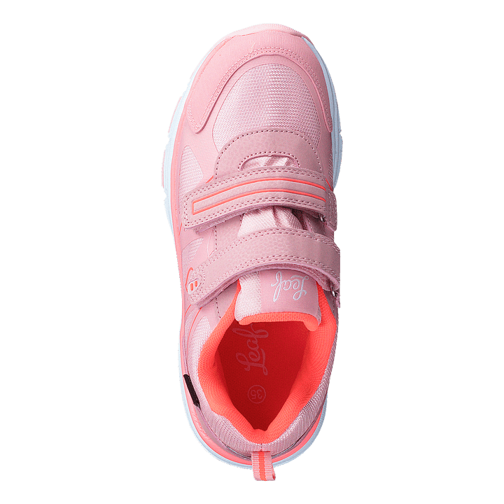 Hamar Coral - Heppo.com