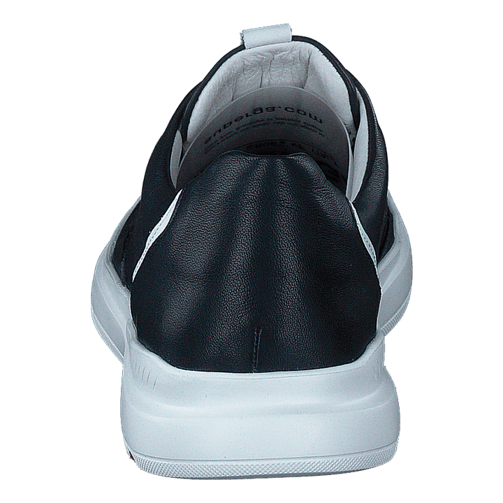 Arrigo Midnight/white