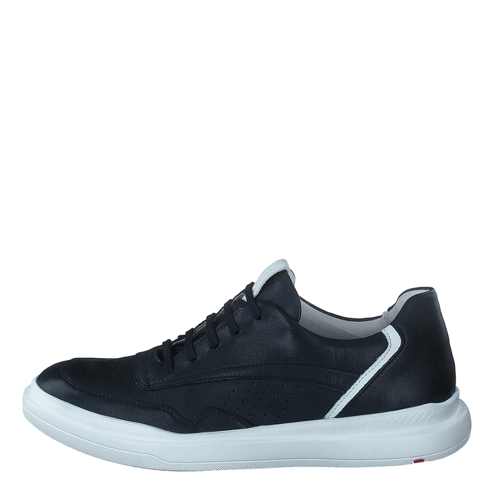 Arrigo Midnight/white