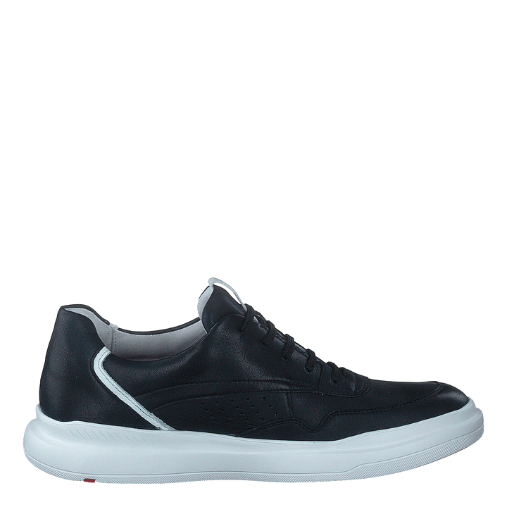 Arrigo Midnight/white