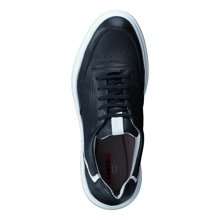 Arrigo Midnight/white