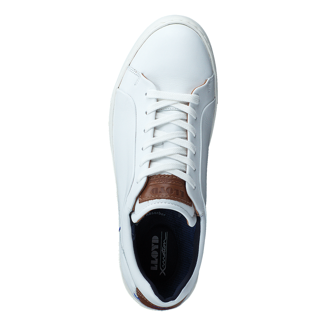 Majuro White/whisky