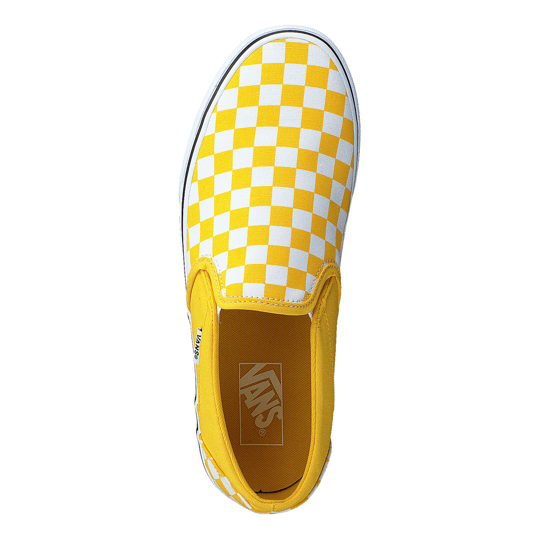 Wm Asher (checkerboard) Freesia/white