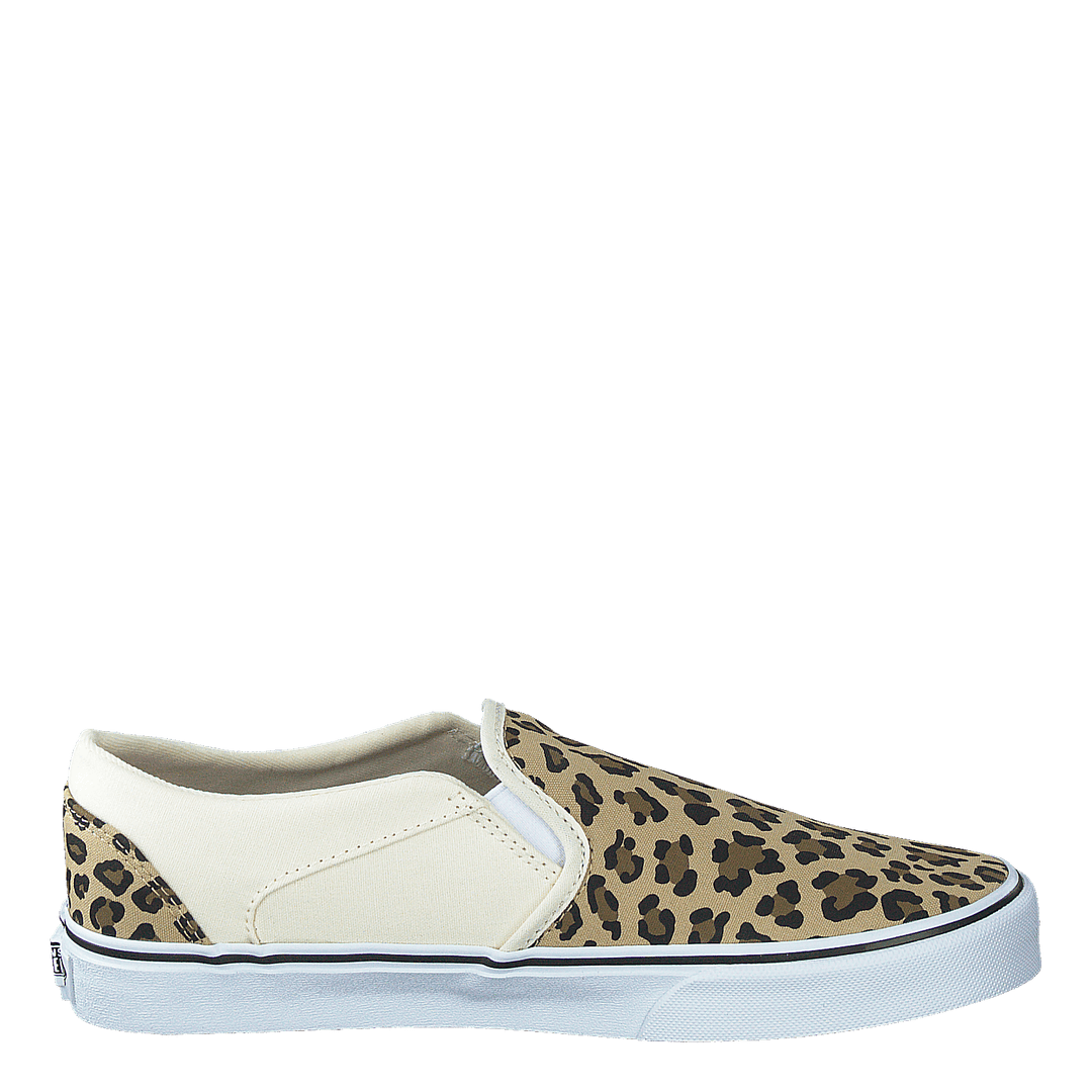 Wm Asher (leopard) Antique White/white