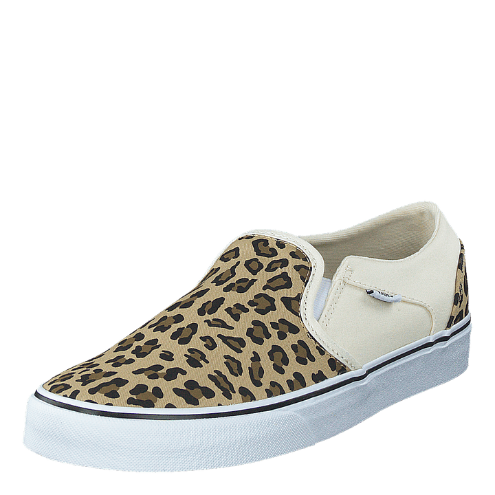 Wm Asher (leopard) Antique White/white