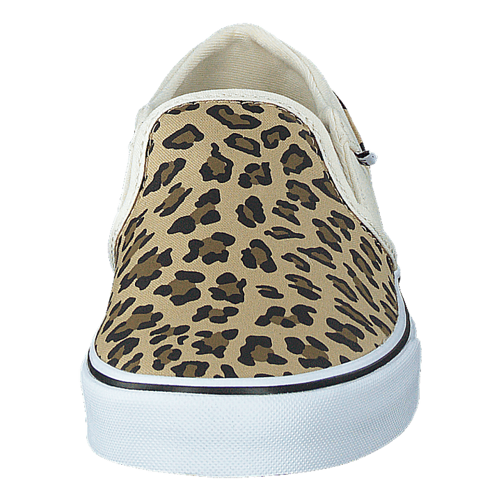 Wm Asher (leopard) Antique White/white