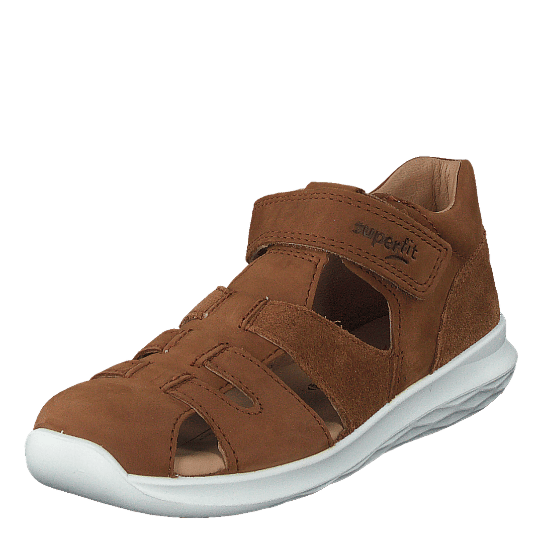 Bumblebee Brown