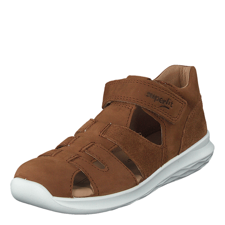 Bumblebee Brown