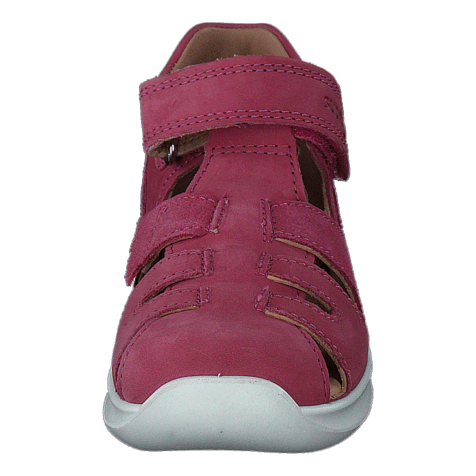 Bumblebee Pink