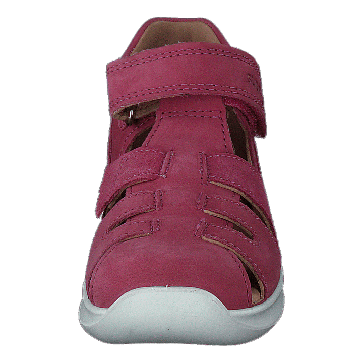 Bumblebee Pink