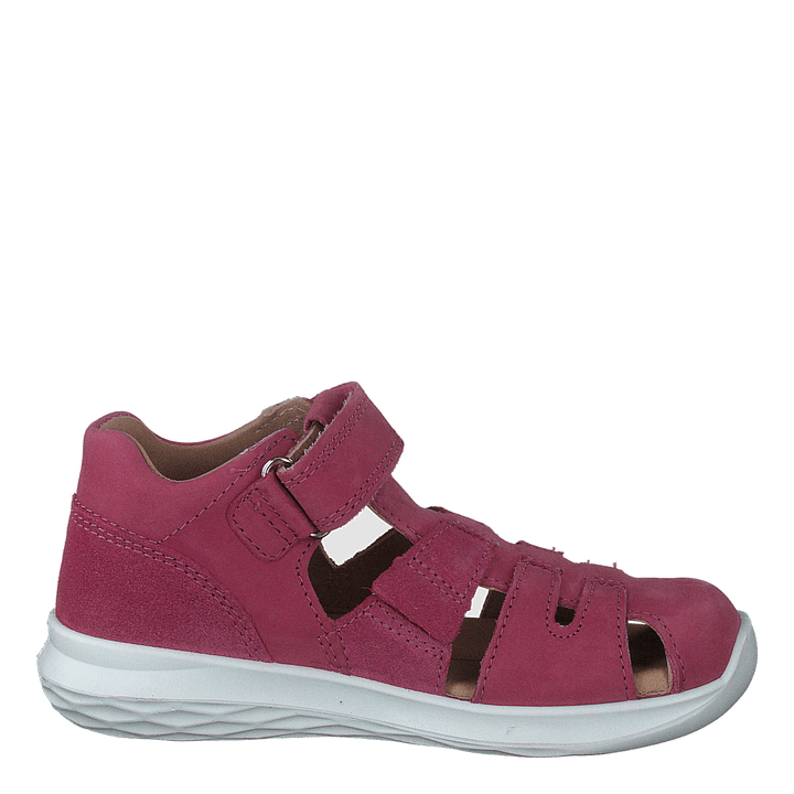 Bumblebee Pink
