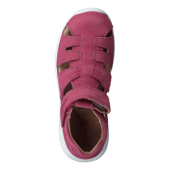 Bumblebee Pink