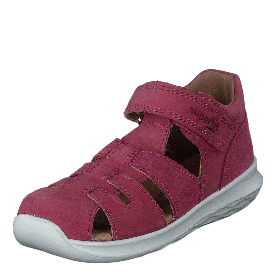 Bumblebee Pink