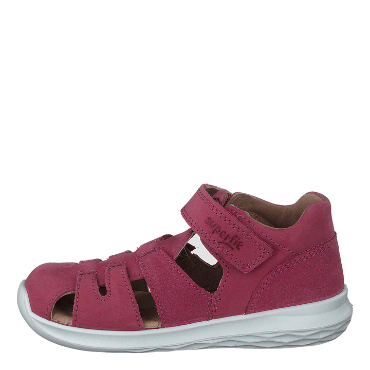 Bumblebee Pink