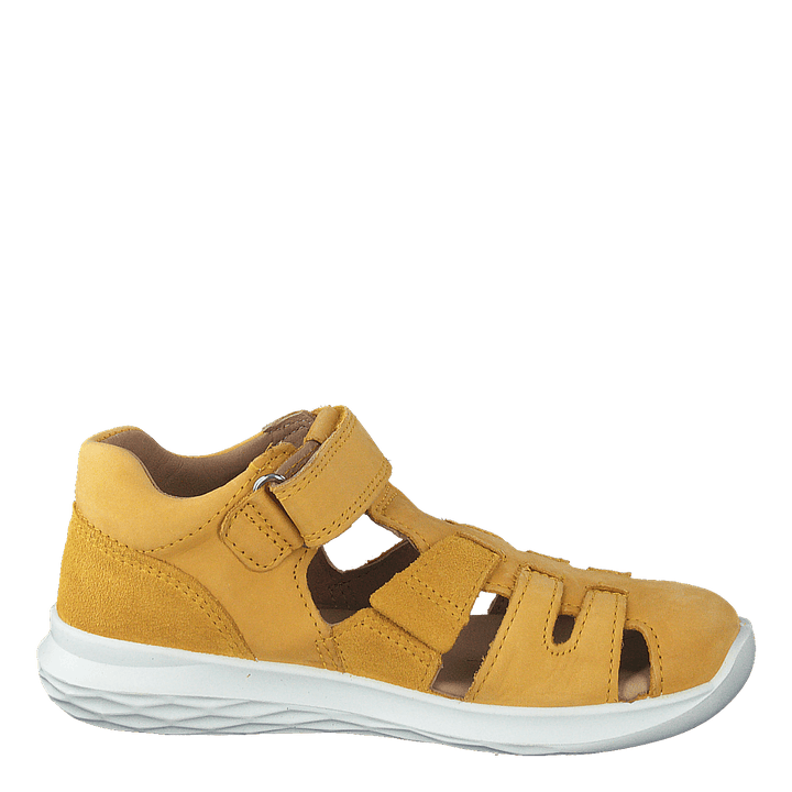 Bumblebee Yellow