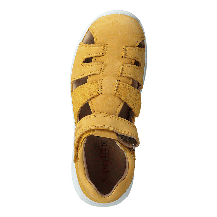 Bumblebee Yellow