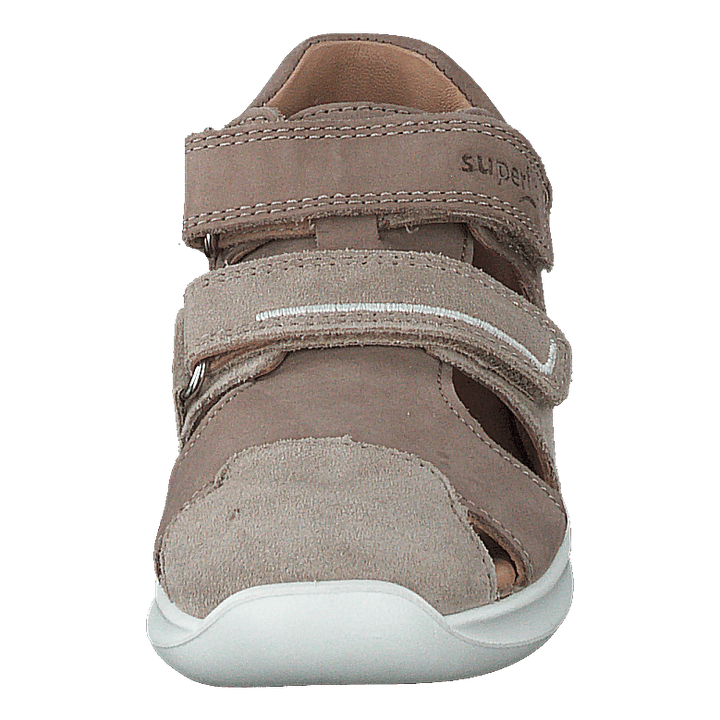 Bumblebee Beige - Heppo.com