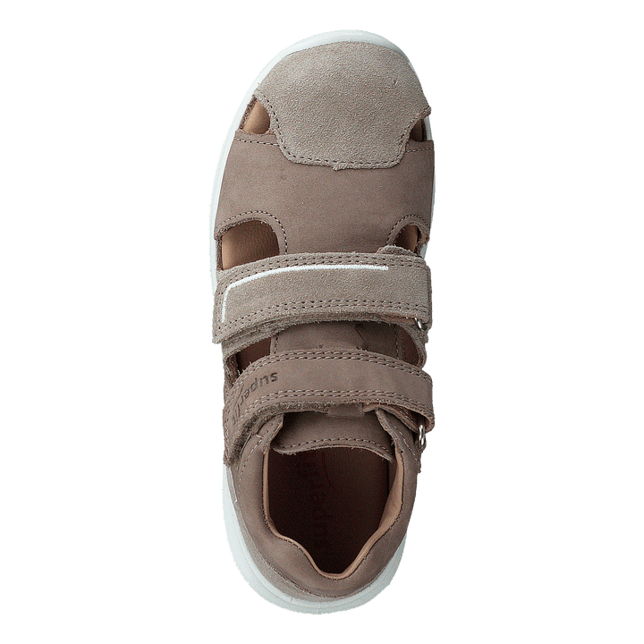 Bumblebee Beige - Heppo.com