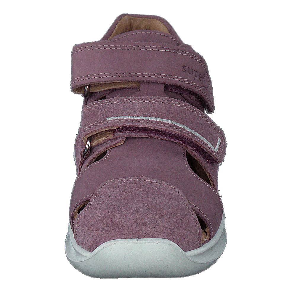 Bumblebee Purple