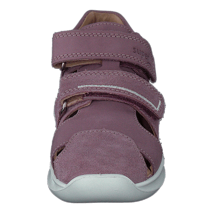 Bumblebee Purple