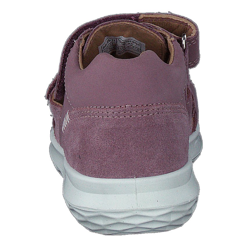 Bumblebee Purple