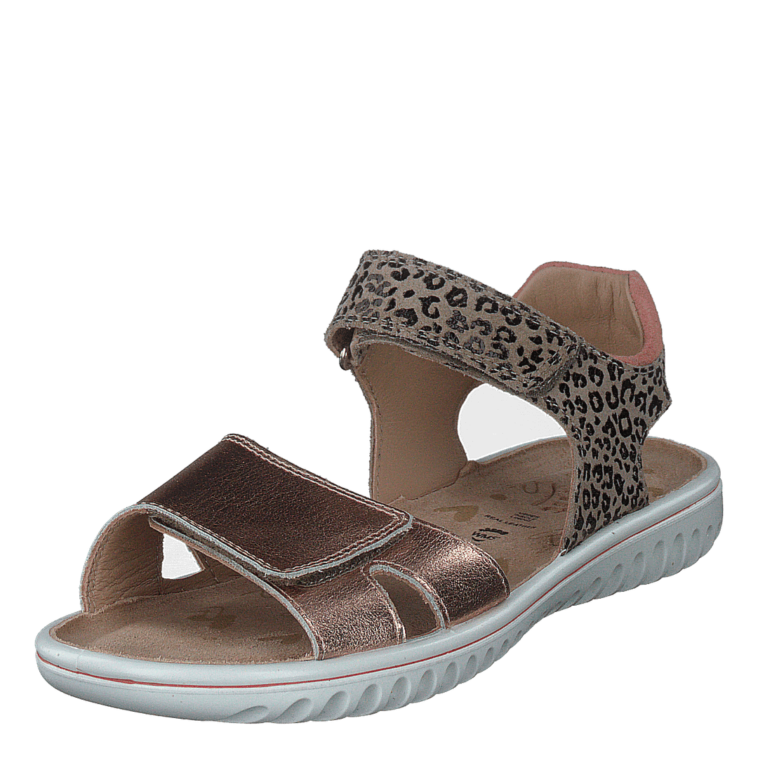 Sparkle Bronze