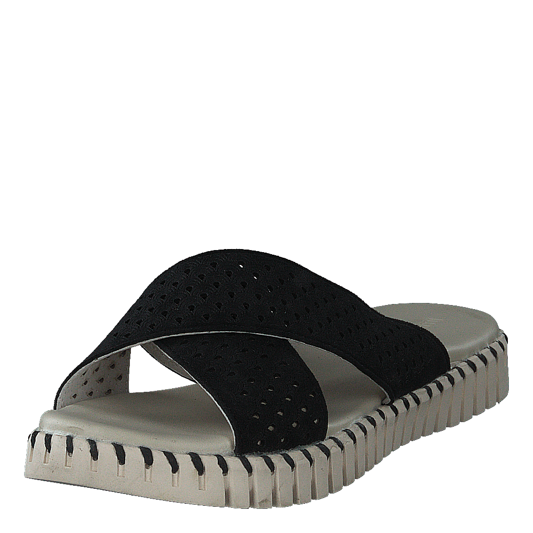 Tulip1575 Black
