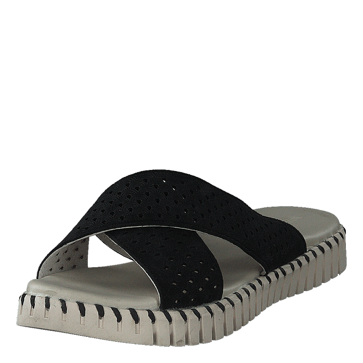 Tulip1575 Black