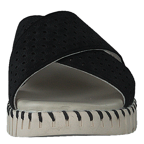 Tulip1575 Black