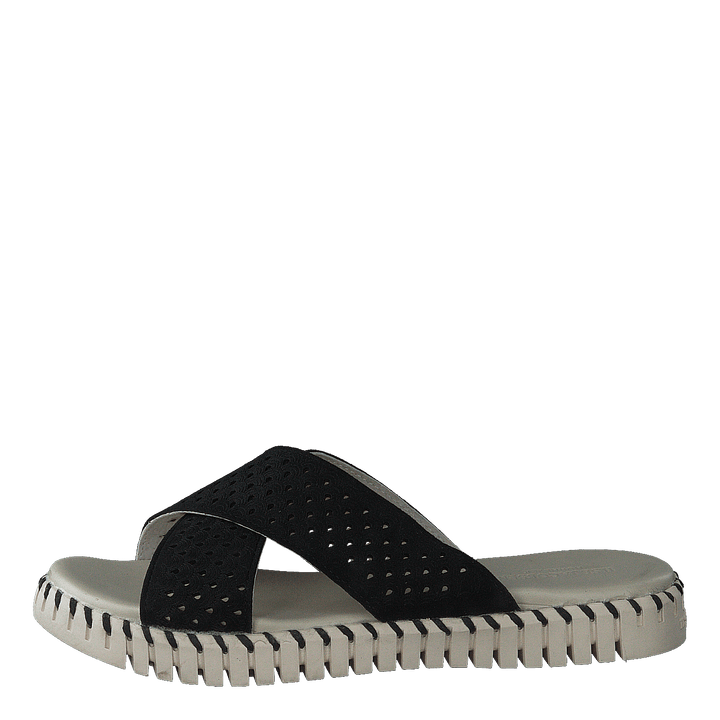 Tulip1575 Black