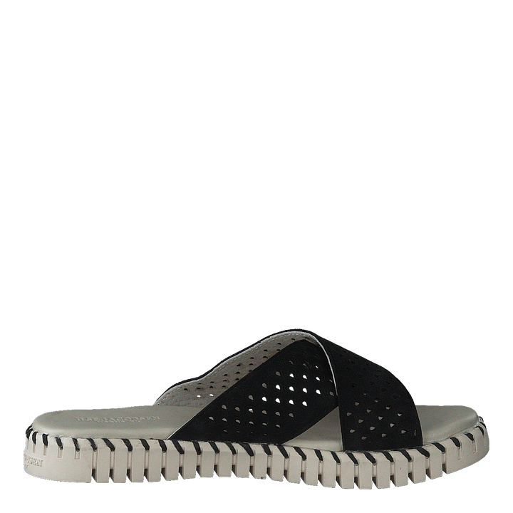 Tulip1575 Black