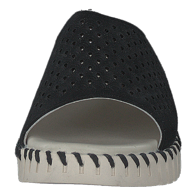 Tulip1375 Black