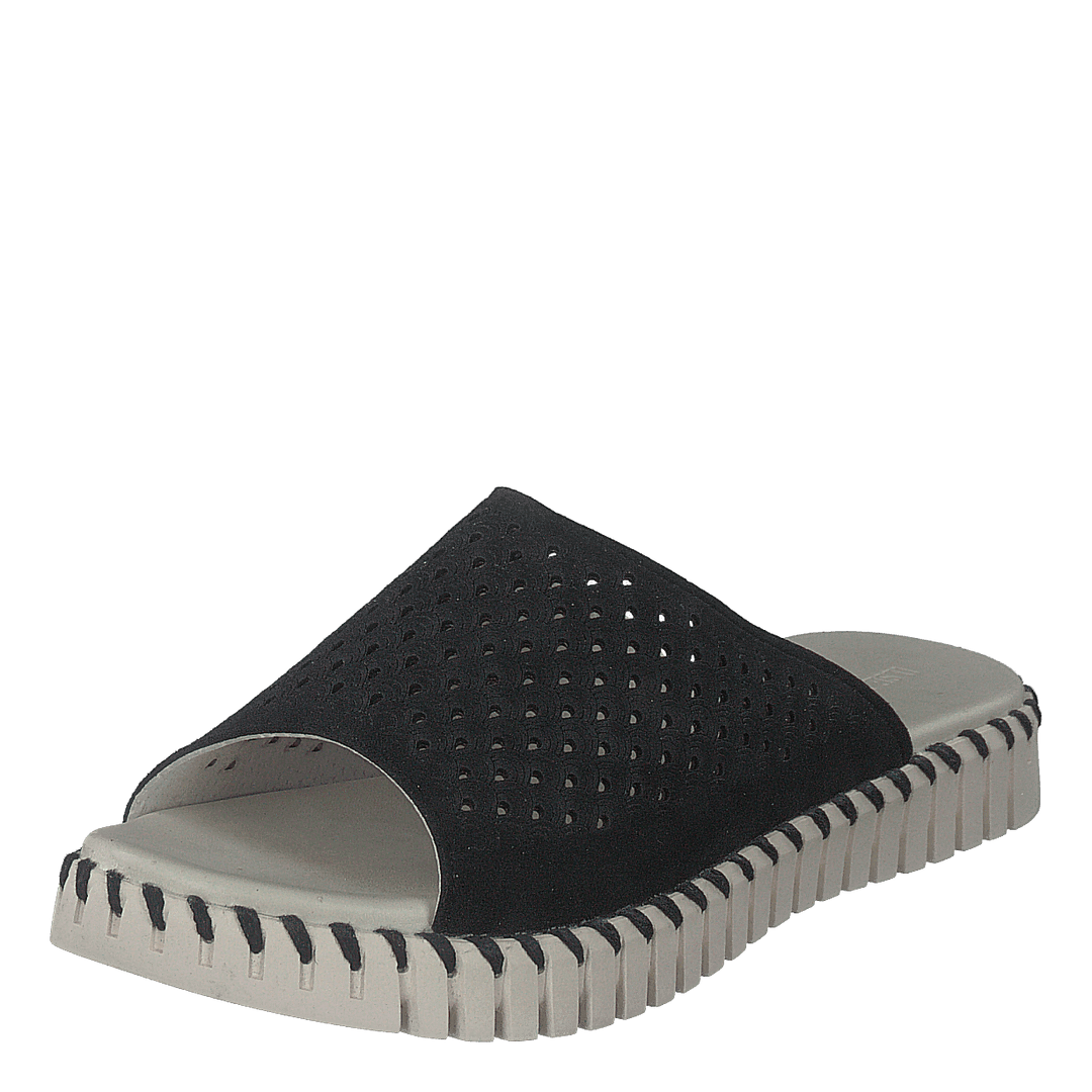 Tulip1375 Black