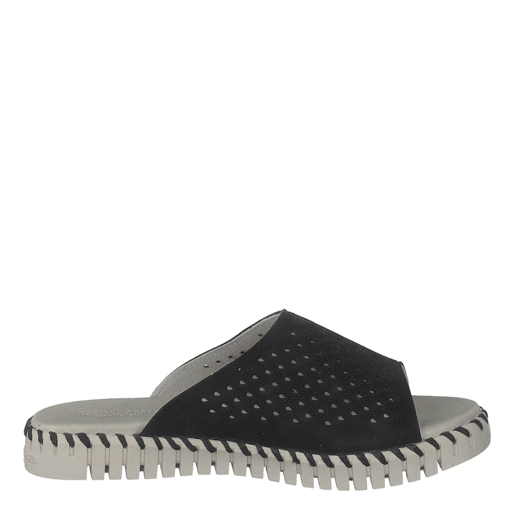 Tulip1375 Black