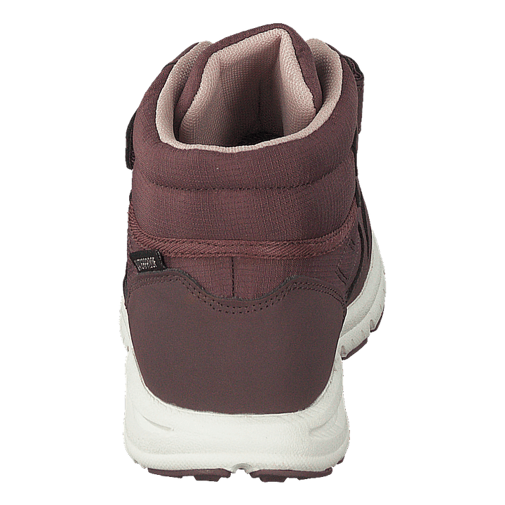 Hovet Mid WP Antiquerose