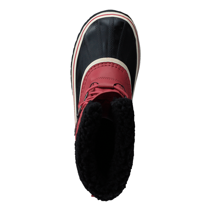 Winter Carnival Wp Rose Dust, Black