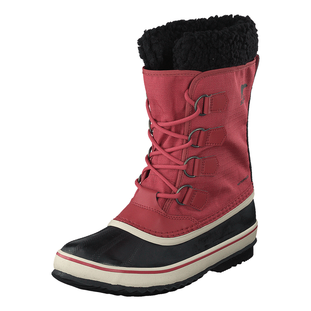 Winter Carnival Wp Rose Dust, Black
