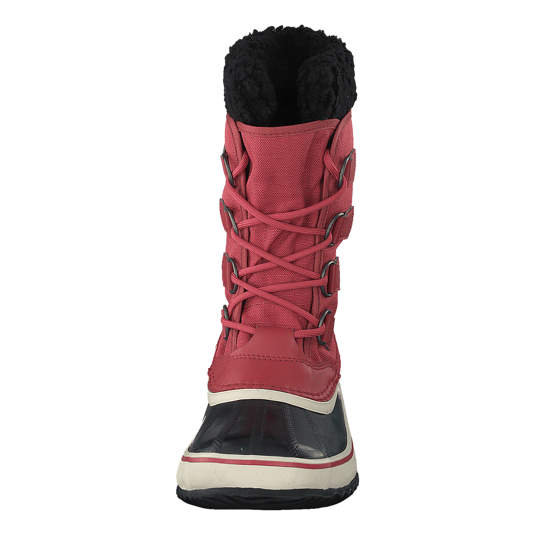 Winter Carnival Wp Rose Dust, Black